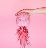 Valentins Pink Aften